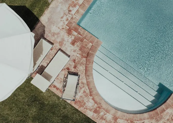 Il Giardino Degli Ulivi *